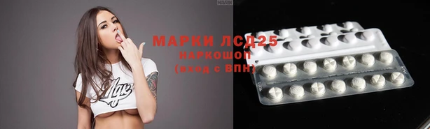 ПСИЛОЦИБИНОВЫЕ ГРИБЫ Армянск